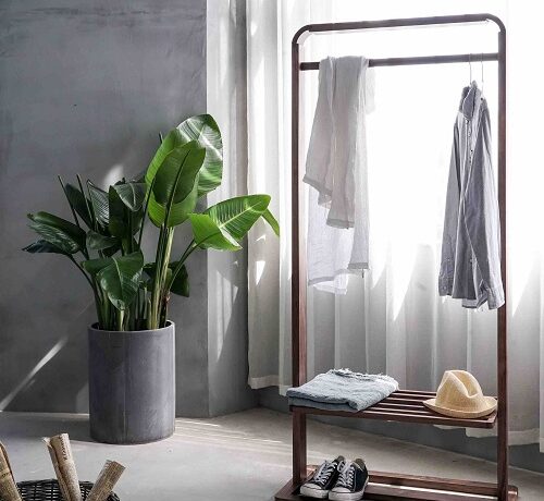 Πώς το περιβάλλον που ζούμε επηρεάζει τη λειτουργία του εγκεφάλου μας